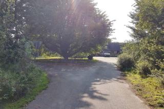 Urlaub zwischen den Meeren auf Hof Jørlon - Osterby - 1
