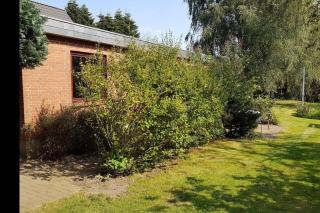 Urlaub zwischen den Meeren auf Hof Jørlon - Osterby - 7