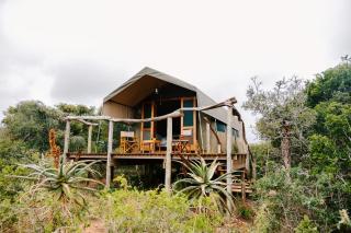 Woodbury Tented Camp – Amakhala Game Reserve - 9