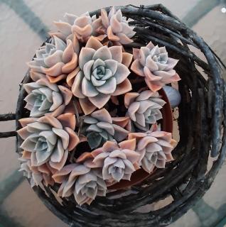 Seldre Guest House - 8