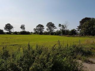 Urlaub zwischen den Meeren auf Hof Jørlon - Osterby - 3