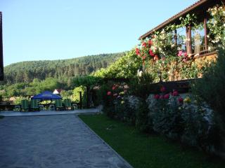Casa din Vale - Vale - 5