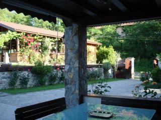 Casa din Vale - Vale - 3