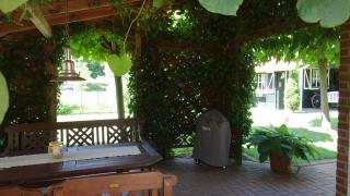 Ferienhaus Schwalbenrast - 8