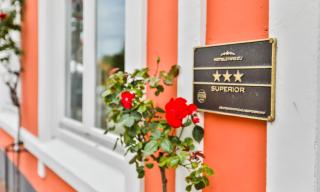 Hotel Stadt Kappeln - Kappeln - 8