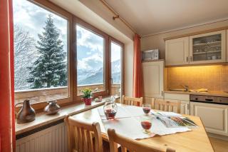 Berggasthaus Steinberg-Alm inkl. Chiemgaukarte - Ruhpolding - 7
