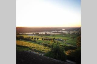 Vue panoramique sur le vignoble - Sancerre - 8