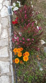 Holiday Home Subasic - Zlarin - 3