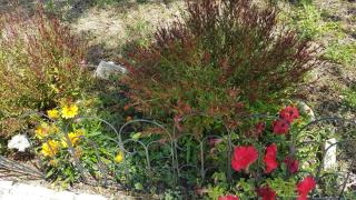 Holiday Home Subasic - Zlarin - 4
