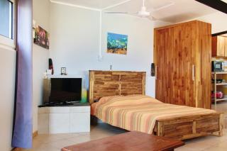 Studio charmant à L'Étang-Salé, jardin et vues, 25 m² - 8