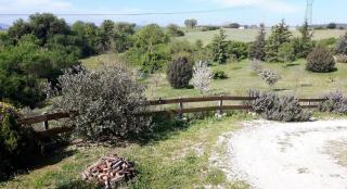 Confortevole monolocale in villa - Bracciano - 1