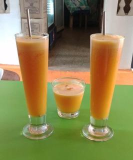 Maria Guest House - Palolem - 2