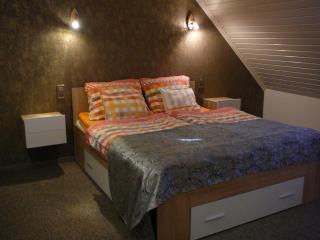 Dunakanyar Apartment - Tahitótfalu - 8