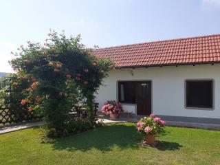 Apartment Petra i Nikola - Seliste Dreznicko - 7