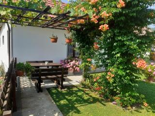 Apartment Petra i Nikola - Seliste Dreznicko - 8