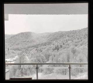 Velvet Apartament Sinaia - Sinaia - 7