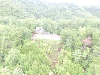 Shady Maples Lodge - Townsend - 6