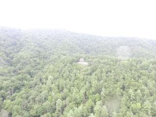 Shady Maples Lodge - Townsend - 3