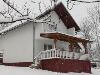 Vlasic holiday home - Vlasic - 2