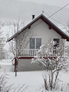 Vlasic holiday home - Vlasic - 1