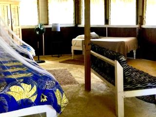 Moringa Ingadi - Treasure Beach - 2