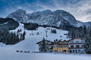 Gasthaus-Landhotel Traunstein - Abtenau - 0