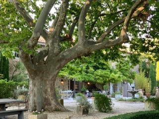 Le Clos de Lucie - Lagnes - 5