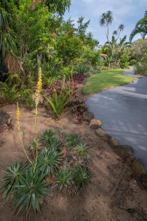 Elephant Coast Guesthouse - St Lucia - 7