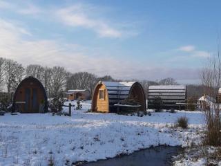 Campland - Arcen - 5