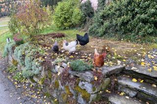 The house of Mattis in beautiful Innvik - 6