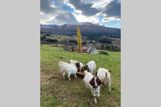 The house of Mattis in beautiful Innvik - 7