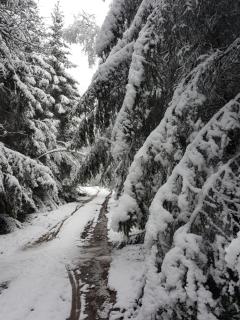 Die Alte Schule app - 3