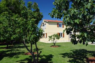 Villa Gardena with private pool - Šišan - 5