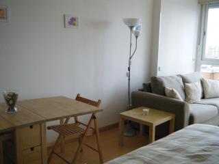 Madrid Studio Apartments - Madrid - 7