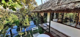 Noah's Nest Tree House - Thekkady - 8