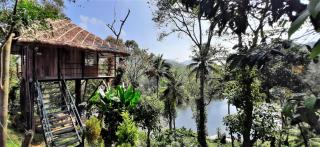 Noah's Nest Tree House - Thekkady - 7