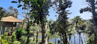 Noah's Nest Tree House - Thekkady - 5