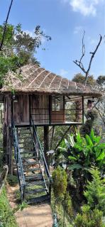 Noah's Nest Tree House - Thekkady - 4
