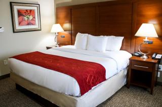 Comfort Suites At Virginia Center Commons - Richmond - 1