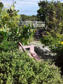 La Grande Pettite Villa - Grand Turk - 6