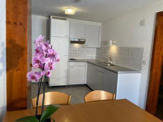 Dinh Residence - Zweisimmen - 1