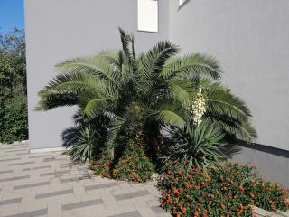 Apartment Zatonka 2 - Zaton - 6