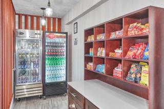 Holiday Inn Express Hotel & Suites Clearwater US 19 North by IHG - 7