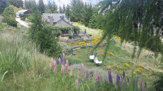 Creagh Cottage and Homestead - 4