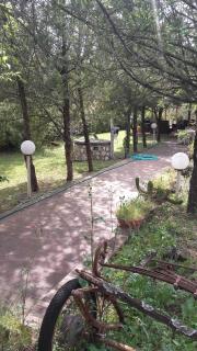 Bed & Breakfast SUITE - Rende - 6