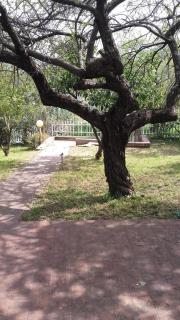 Bed & Breakfast SUITE - Rende - 8