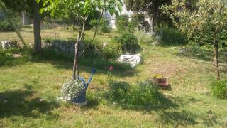 Štinjan-Studio apartment Petrić - Pula - 7