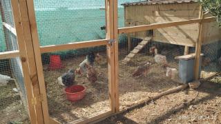 Casas Rurales Villa Vicenta - 1