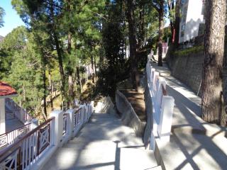 Himalayan Splendour Resort - Dhanaulti - 9
