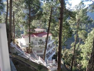 Himalayan Splendour Resort - Dhanaulti - 5
